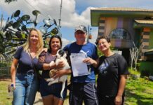 Programa ‘Tigela Cheia’ une sustentabilidade e causa animal; são 7 toneladas de ração distribuídas