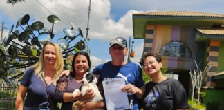 Programa ‘Tigela Cheia’ une sustentabilidade e causa animal; são 7 toneladas de ração distribuídas