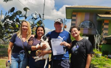 Programa ‘Tigela Cheia’ une sustentabilidade e causa animal; são 7 toneladas de ração distribuídas