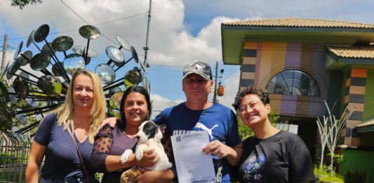 Programa ‘Tigela Cheia’ une sustentabilidade e causa animal; são 7 toneladas de ração distribuídas