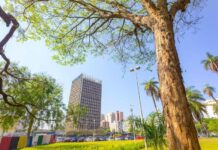 Santo André figura entre 18 cidades brasileiras premiadas pelo Pacto Global de Prefeitos pelo Clima e Energia