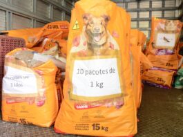 Parque Central recebe edição de agosto do Moeda Pet em Santo André