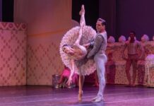 Teatro Municipal de Santo André recebe evento de dança com participação de Ana Botafogo