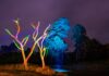 Experiência noturna no Parque Estadual do Ibitipoca integra 2ª edição do I-Bit Mapping em 26 de setembro