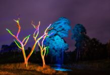 Experiência noturna no Parque Estadual do Ibitipoca integra 2ª edição do I-Bit Mapping em 26 de setembro