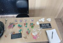 GCM de Ribeirão Pires apreende drogas durante ação da ROMU no Parque Aliança