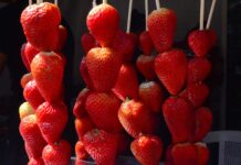 Parque Chácara Pignatari recebe Festival do Morango, Churros e Chocolate neste fim de semana