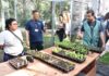Semasa apresenta experiência do Quintal Verde na II Semana Lixo Zero Piracicaba