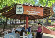 Com Sertanejinho no Parque e Kennedy Food Fest, São Caetano tem fim de semana repleto de atrações