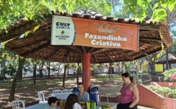 Com Sertanejinho no Parque e Kennedy Food Fest, São Caetano tem fim de semana repleto de atrações