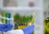 Braskem reforça estratégia global em renováveis com desenvolvimento de tecnologia para bioacetona