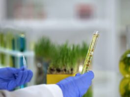 Braskem reforça estratégia global em renováveis com desenvolvimento de tecnologia para bioacetona