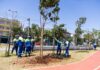 Em celebração ao Dia da Árvore, São Caetano realiza plantio de 20 exemplares no Parque Linear Kennedy