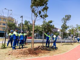 Em celebração ao Dia da Árvore, São Caetano realiza plantio de 20 exemplares no Parque Linear Kennedy