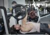 Campeonato de Supino reúne atletas neste sábado (26) em Ribeirão Pires
