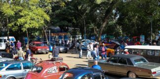 São Caetano promove encontro de carros antigos no Bosque do Povo neste domingo