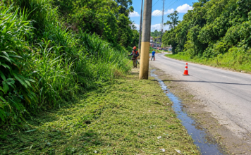Ribeirão Pires intensifica serviços de zeladoria e manutenção urbana em diferentes regiões da cidade