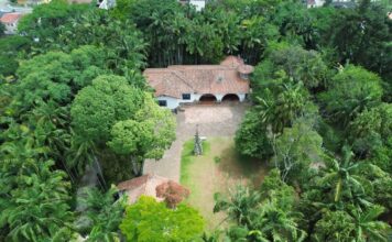 Casa da Bruxa reúne feira, música, experiências e gastronomia no Parque Profº Luiz Carlos Grecco